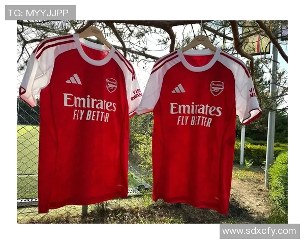 足球明星代言阿迪达斯的魅力与影响力分析