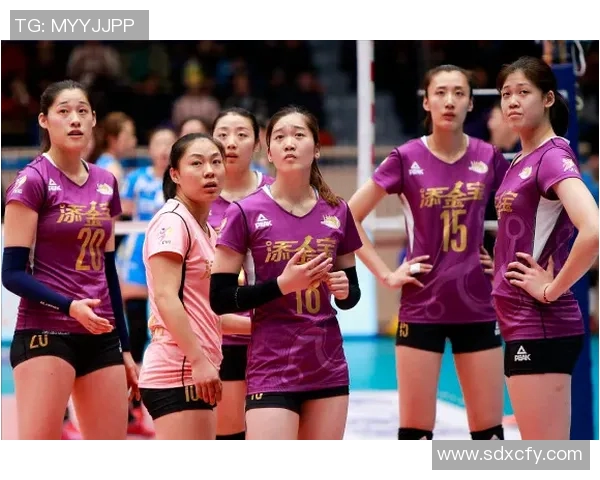 重庆排球队进攻体系解析与排球战术创新探讨 重庆排球队进攻体系解析与排球战术创新探讨
