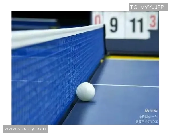 杭州乒乓球队在挑战赛中的耐力表现分析与点评