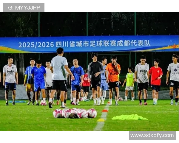 成都足球队速度表现数据分析揭示球队竞技状态与战术执行力的关系