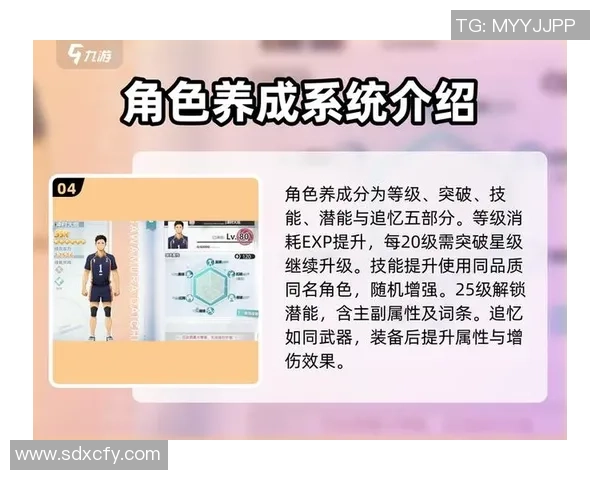 排球新手必看:提升灵活性的全面入门攻略与技巧分享 排球新手必看:提升灵活性的全面入门攻略与技巧分享