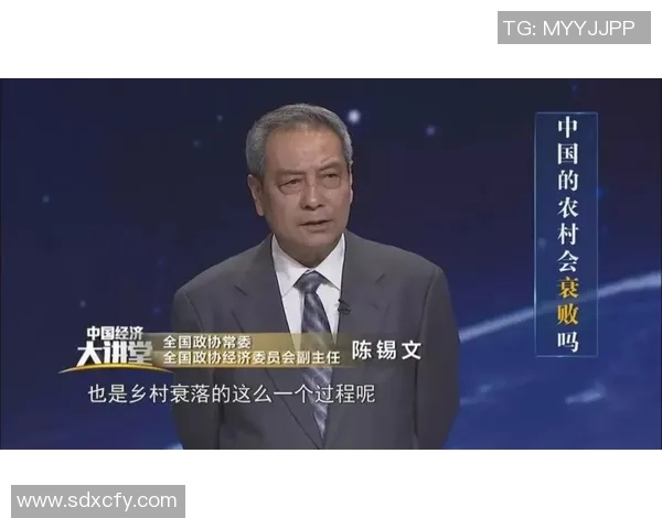 武汉篮球队的现状揭秘与未来展望全方位分析