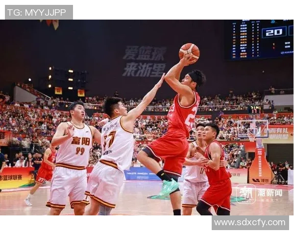 杭州篮球队实力对比深度解析及未来发展趋势探讨