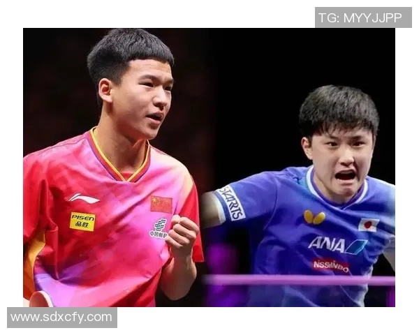 武汉乒乓球队在世界锦标赛中的默契配合与精彩表现分析