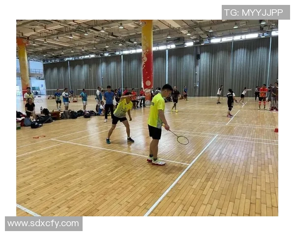 杭州羽毛球队在联合会杯上的拼搏历程与荣耀时刻回顾