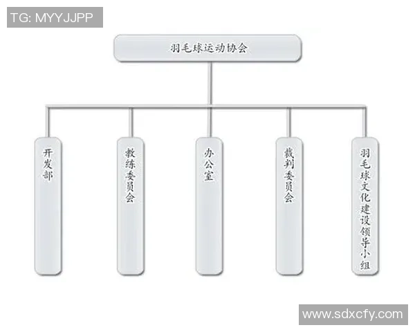 武汉羽毛球队的整体压制揭秘与深度分析羽毛球运动的未来发展趋势