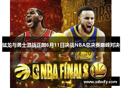 猛龙与勇士激战正酣6月11日决战NBA总决赛巅峰对决