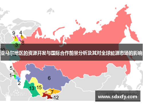亚马尔地区的资源开发与国际合作前景分析及其对全球能源市场的影响